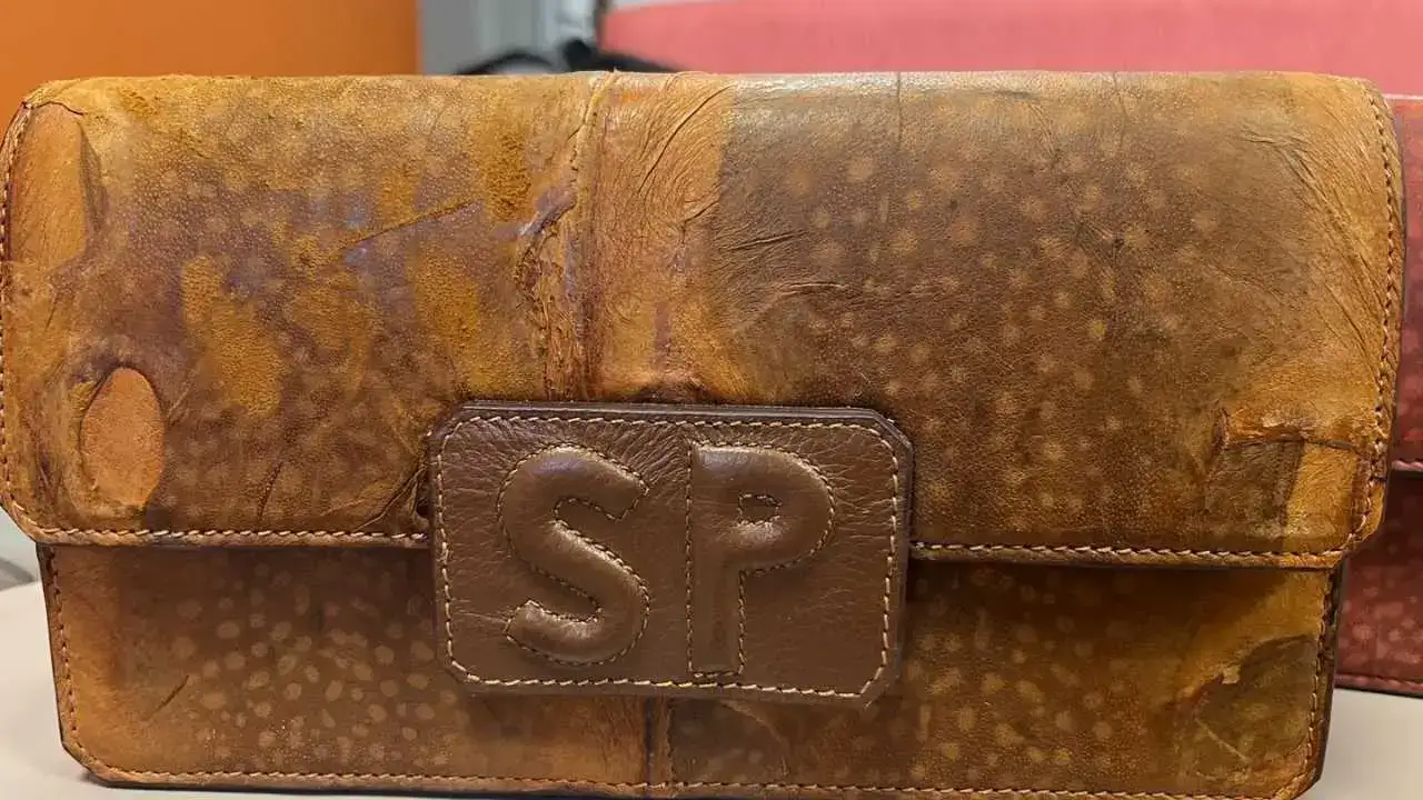 Alanya’da Balon Balığı Projesi Krize Dönüştü: Süreç Yargıya Taşındı! 2